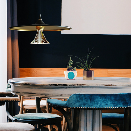 IPNO Pendant Black /Gold Lamp by Artemide Lamps
