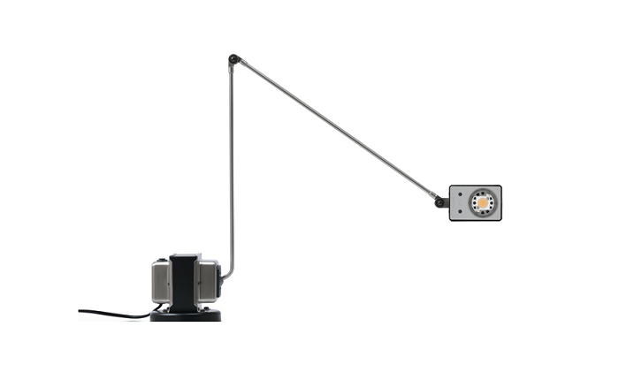 Daphine LED Table Lamp by Lumina Lamps