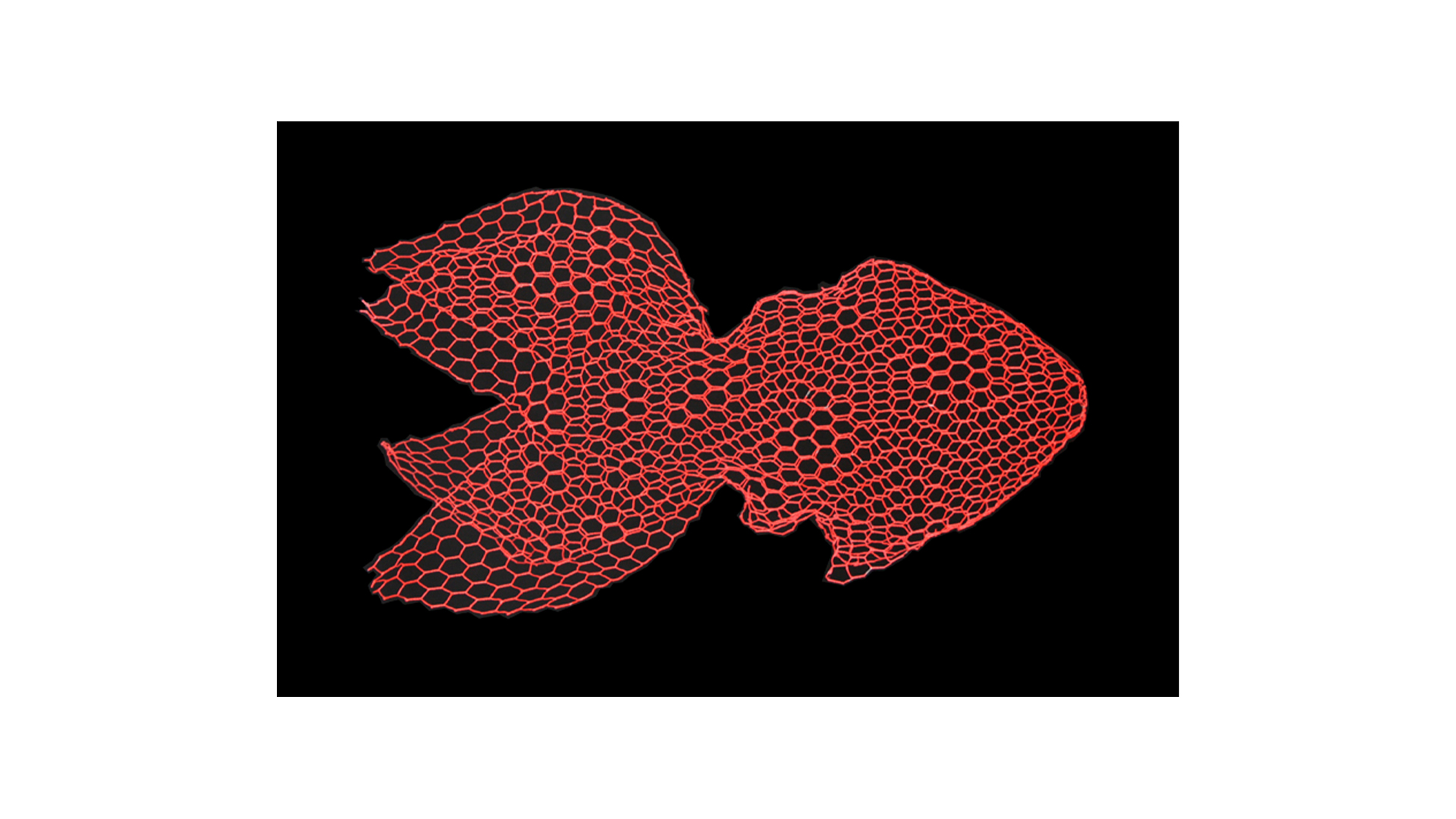 Fish Sculpture by Magis Accessories Fish Sculpture by Magis Accessories